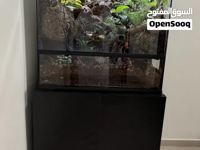للبيع بايوفيفاريوم (Bio Vivarium) متكامل وعمره سنة كاملة