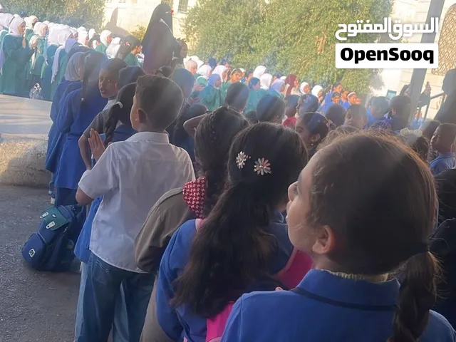 أخصائي صعوبات تعلم - احتراف