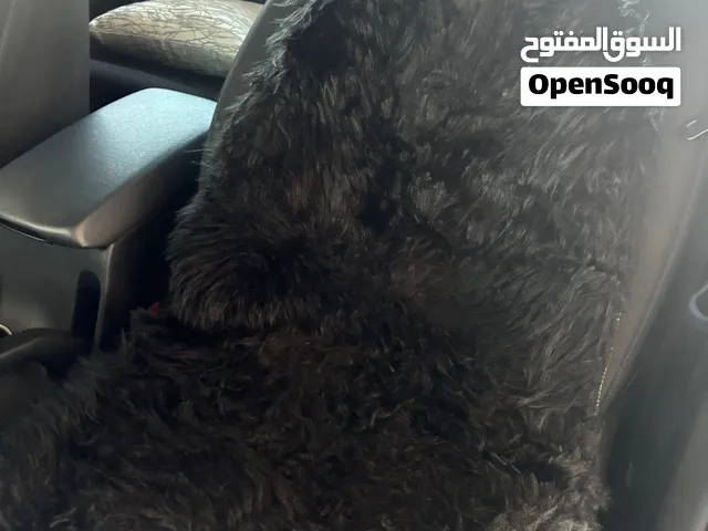 تلبسية كراسي قطعتين