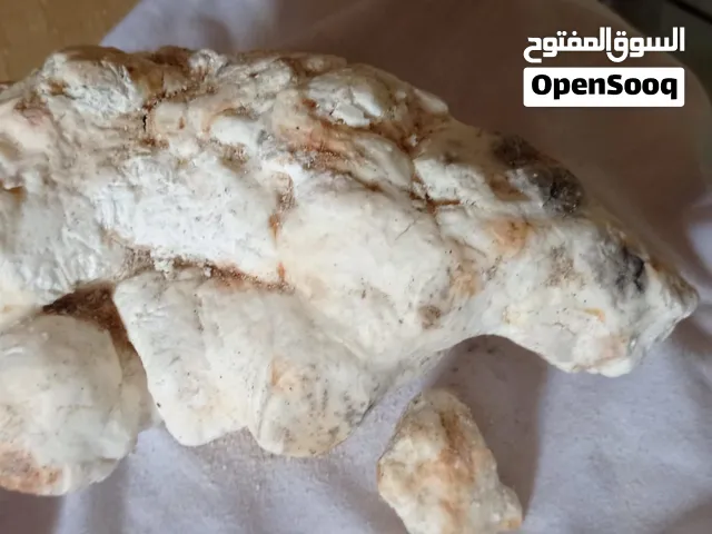 عنبر للبيع من حق هذا سنه