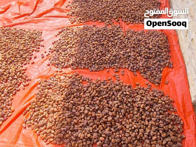 تمر خلاص أنتاج الداخلية بهلاء  Omani khalas dates