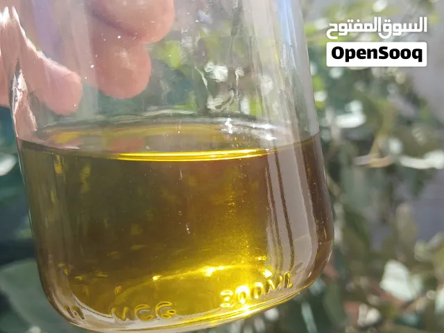 زيت زيتون العام الماضي