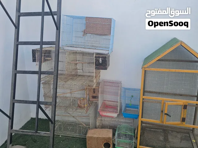 للبيع اقفاص مستعمله