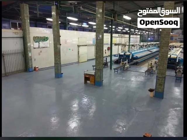 مصنع 6000 متر لتعبئه و فرز الفواكهه و الخضروات للبيع في الوراق