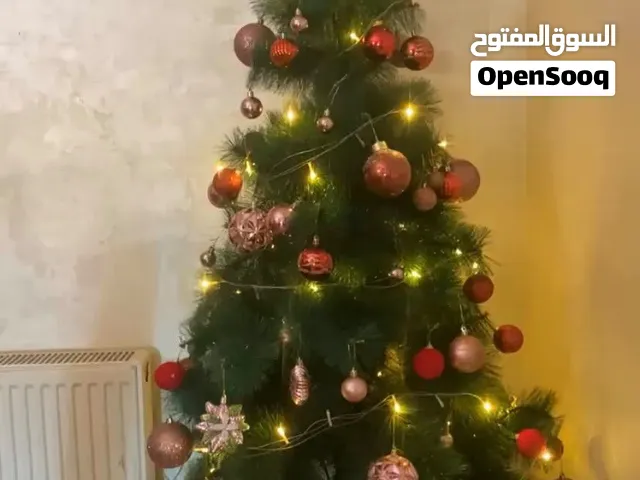 شجرة كريسمس مستعملة للبيع