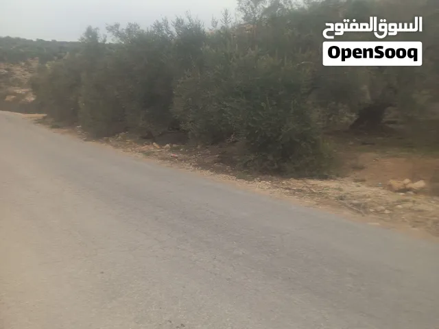 ارض زراعيه مطلة على الشارع الرئيسي بين قرية بلعا و قرية دير الغصون