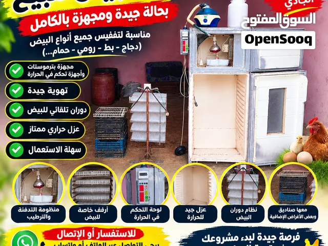 فقاصة لجميع انواع البيض بحجم 360 بيضة