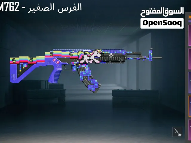 Pubg Accounts and Characters for Sale in Irbid