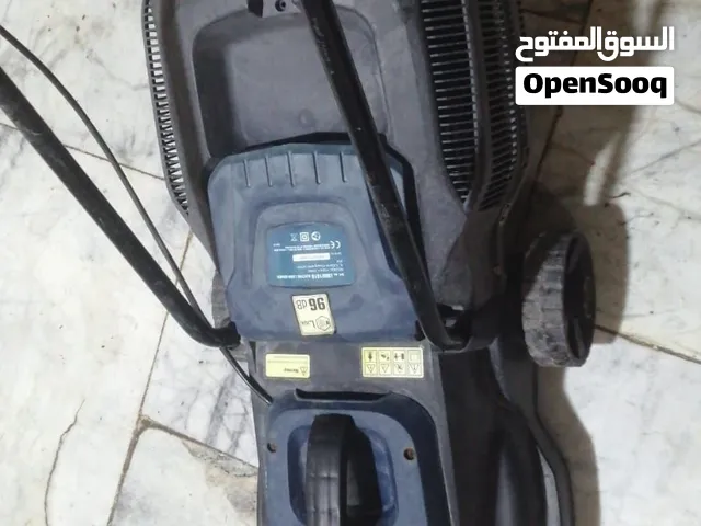 حاشوشة ثيل