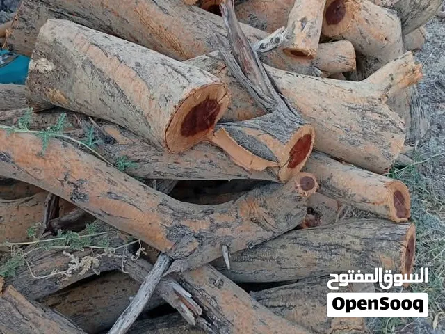 البيع حطب سمر