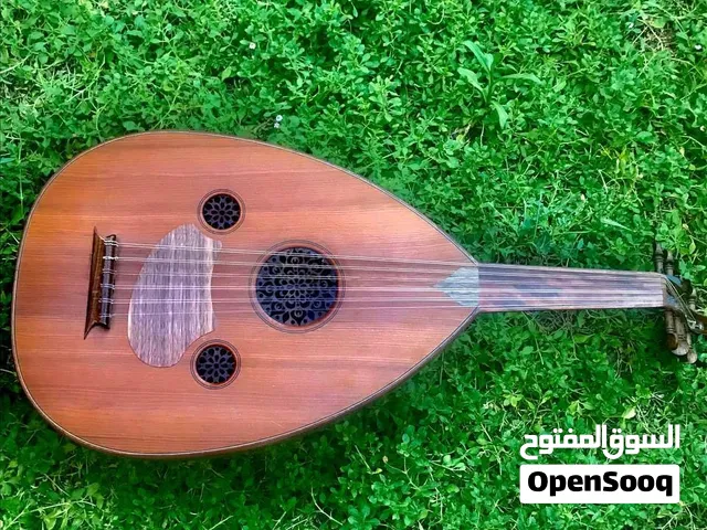 عود زرياب للبيع