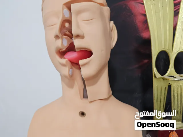 مجسم كامل جديد