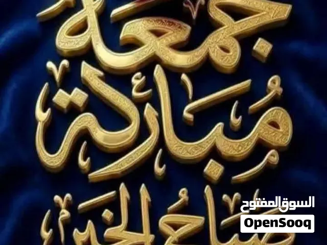 طيور البادجي