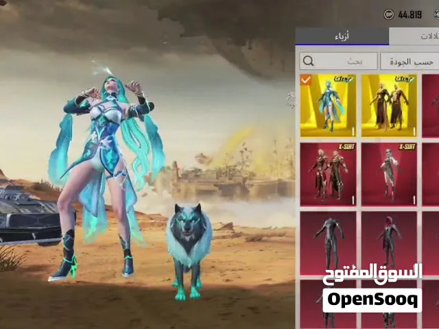 Pubg Accounts and Characters for Sale in Saada