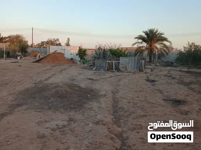 قطعة ارض في السبط مسيجه مساحتها 3300 متر اوراقها ملك بالحجة
