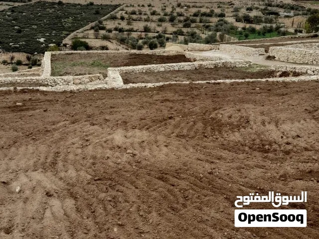Farm Land for Sale in Hebron Nuba