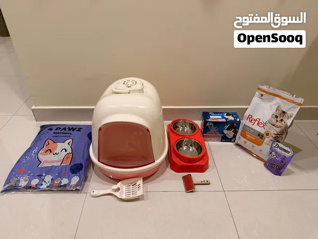 All Kitten supplies for sale - used for 2 days only -