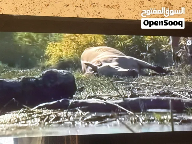 شاشة ماجيك احدث النسخة كيولد
