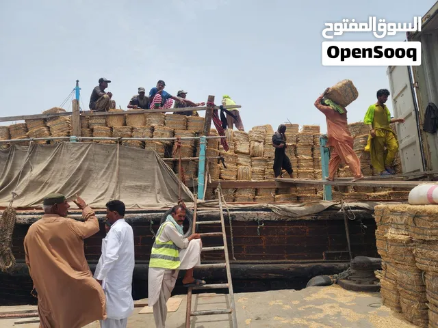 الحمد لله التبن الجديد نظيف موجود باكستاني