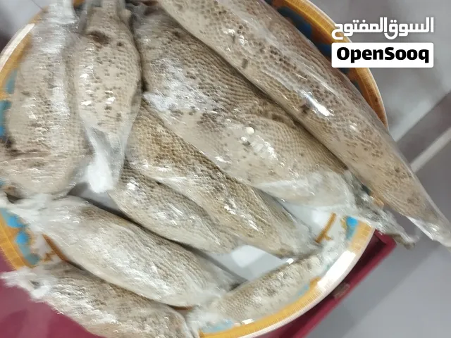 عسل الموسم جديد سدر