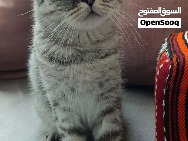 الأم مع بنتها الصغيرة