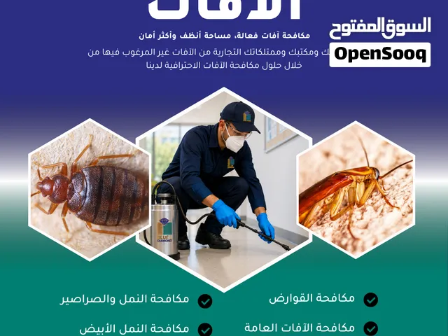 صراصير؟ نمل؟ حشرات طائرة أو زاحفة؟