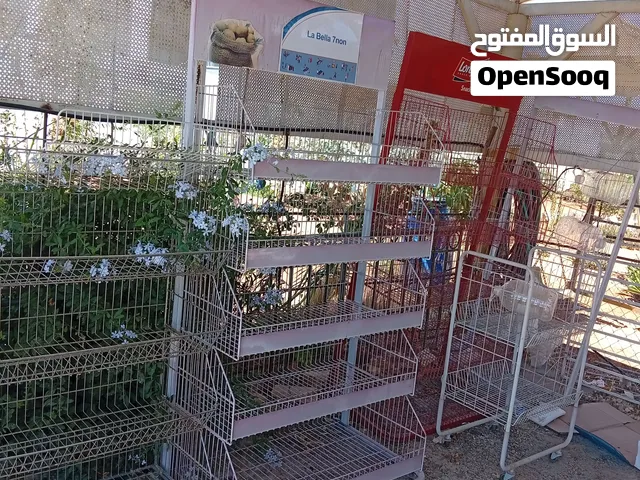 ستاند  ستانلس شيبس عدد 5