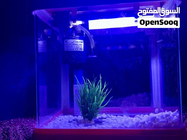 لدواعي السفر للبيع حوض أسماك 18*18 مع اوكسجين واضاءة Led  فقط 8Bd