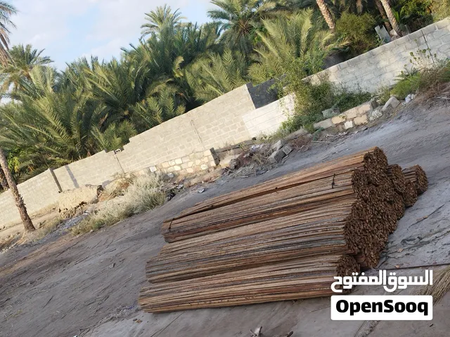 دعون للبيع