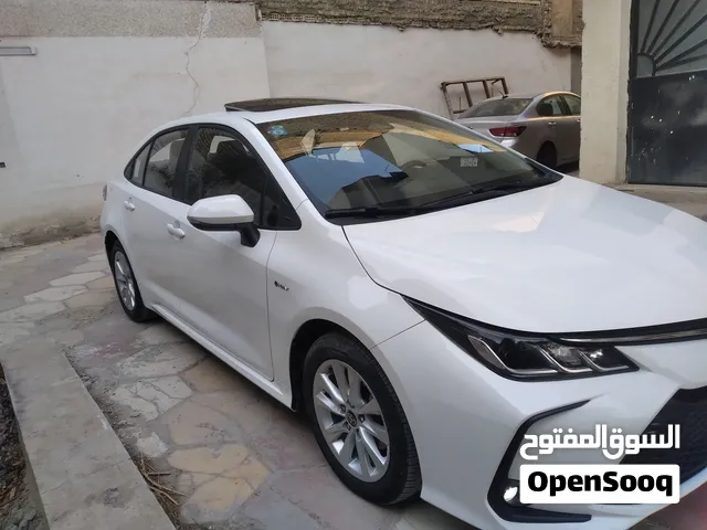 تويوتا كورولا