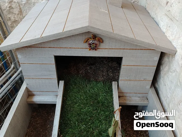 بيت سلاحف خشبي