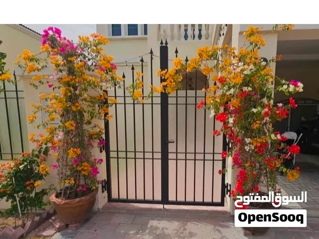 Pair of Rare Seven-Color Bougainvillea Plants in Pots