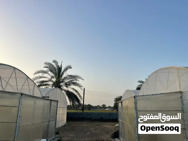 جرين هاوس موسمي فقط بدون تبريد