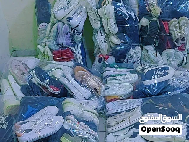 شروة بوات رياضه نخب تصفيه اوروبي و كوري نخب النخب 250 جوز رعوي و نسبة قليله رجالي بسعر حررق