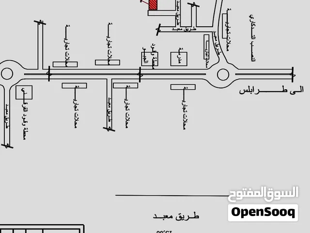 ارض في النصب التذكاري