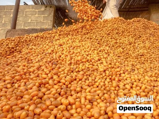 تمر فاغور للبيع عاجل بسعر مناسب