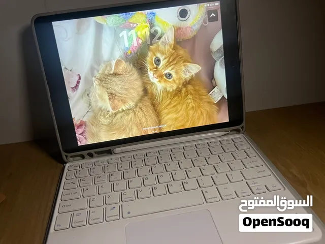 ايباد الجيل التاسع 64 جيجا بحالة ممتازة 850 شيكل مع ملحقاته القلم والكيبورد البلوتوث والگفر
