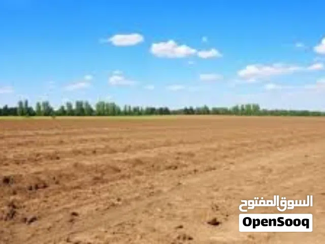 فرصة ذهبية: 3 قطع أراضي من المالك في الزرقاء قاع خنا موقع استثماري مميزقريب من المشاريع الحيويه