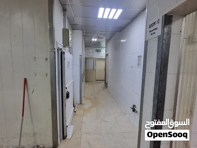 للايجار سرداب 1000 متر بالسالمية موقع مميز مجهز بشوايات وثلاجات ومداخل ونظام كهرباء ثلاثي ومميزات ا