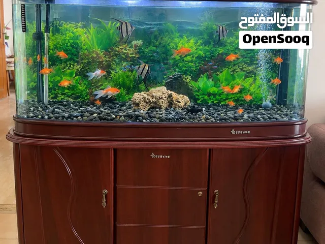 حوض سمك كبير