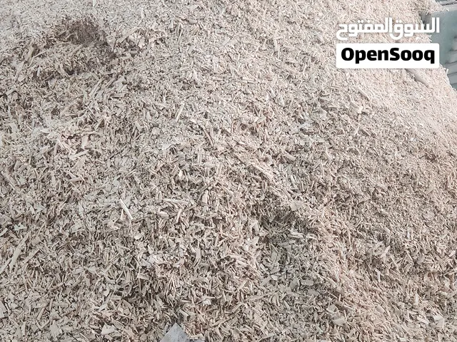 نشارة جودة ممتازة سعر الحبه 800 بيسه
