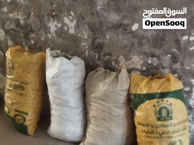 خبزة يابسة