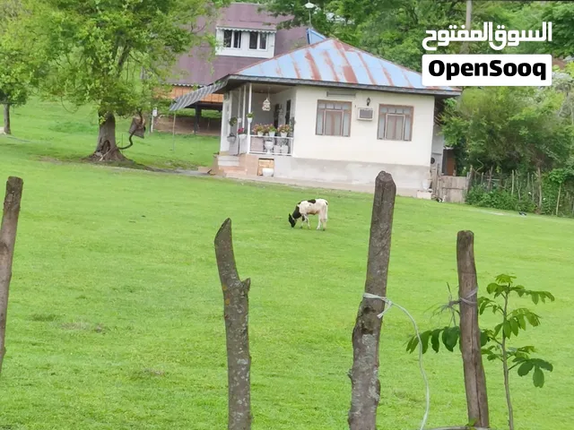 معاكم ابوعلي مترجم ودليل السياحي والطبي في ايران طهران و شمال بخدمتکم في كافات المحافظات..
