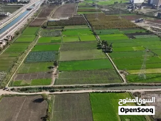 فرصه ارض بالمحموديه الرئيسي 10 فدان ونصف ومعاها قرار وزاره