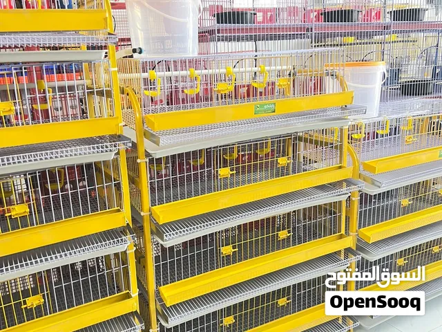 بطارية فري بياض