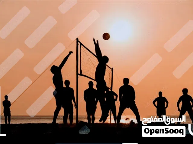 volly beach