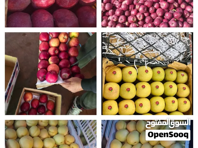 فواكه وخضروات إيرانية للبيع بالجملة  تفاح أصفر وأحمر، مشمش، برقوق، بطيخ، خيار