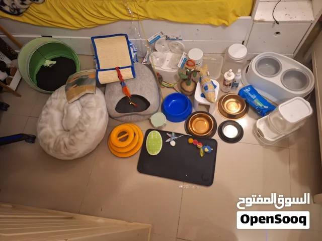اغراض قطط للبيع حط سعرك وشيل
