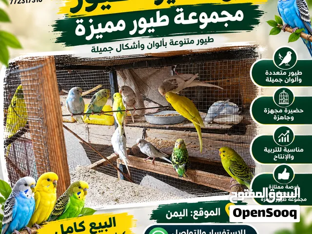 حضيرة كناري للبيع