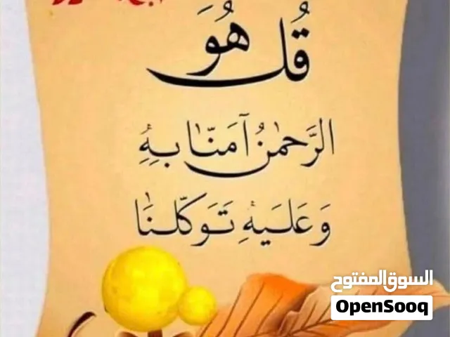 مري باص اتش ون